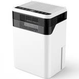 Conopuplus DH-CS11