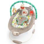 Bright Starts Winnie Puuh Babywippe