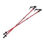 Eurobatt Nordic Walking Stöcke