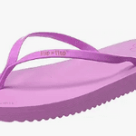 Flip-Flops