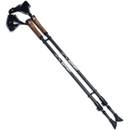 Gipfelsport Nordic-Walking-Stöcke