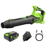 Greenworks BL24515A2