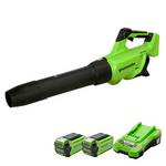 Greenworks GD40ABK2X