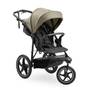Buggy