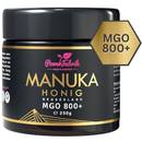 Powerfabrik Manuka Honig MGO 550+