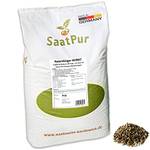 SaatPur 4061369823064