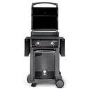 Weber Spirit E-210