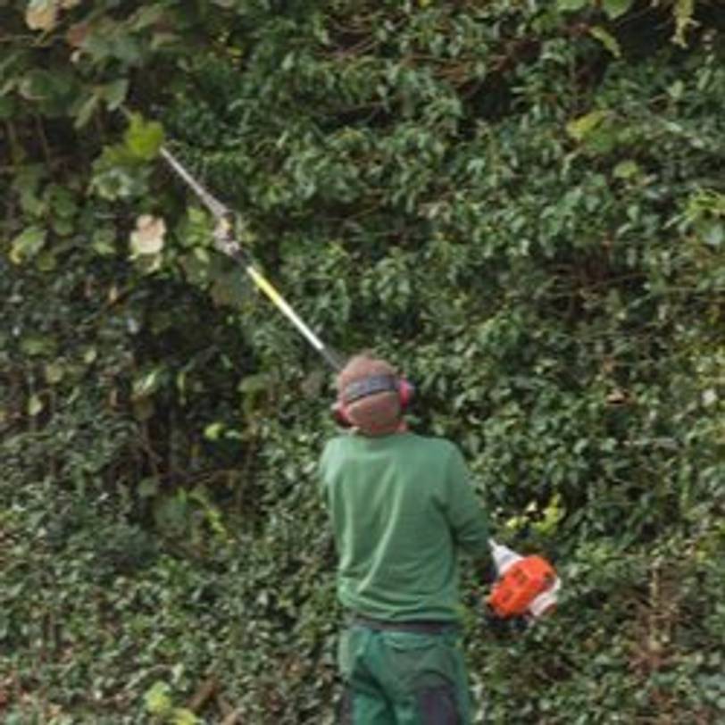 gaertner arbeitet mit teleskop-heckenschere