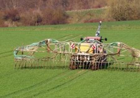 Rasendnger Test & Vergleich 2026  Die besten Produkte auf Krone.at