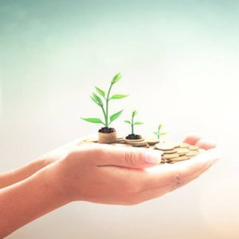 Frau, die Münzen in Hand hält aus denen Pflanzen wachsen, was nachhaltigen Fondssparplan symbolisieren soll