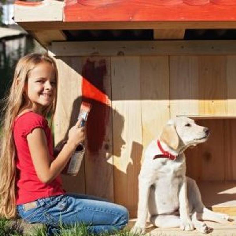 Hundehütte aus Paletten