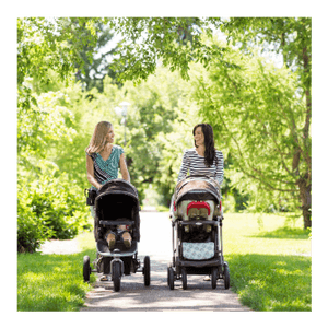Zwei Mütter machen einen Spaziergang mit Kinderwagen.