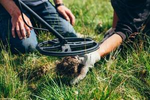 suche im gras mit einem metalldetektor