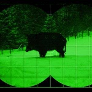 Wildtierbeobachtung mit einem Nachtsichtgerät
