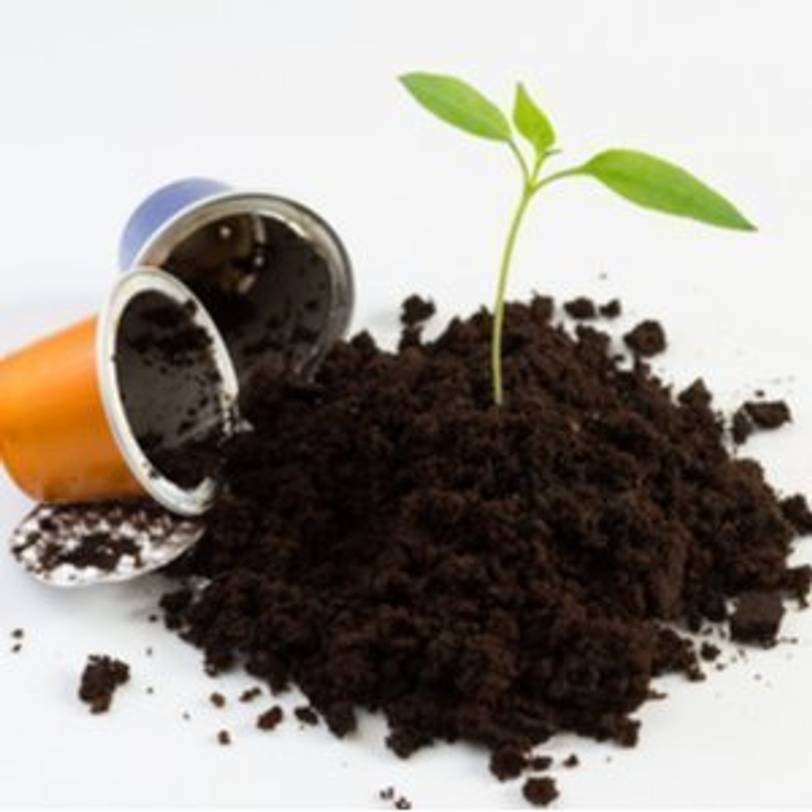 Nespresso-Kapseln neben einem Haufen Erde, aus dem eine Pflanze wächst