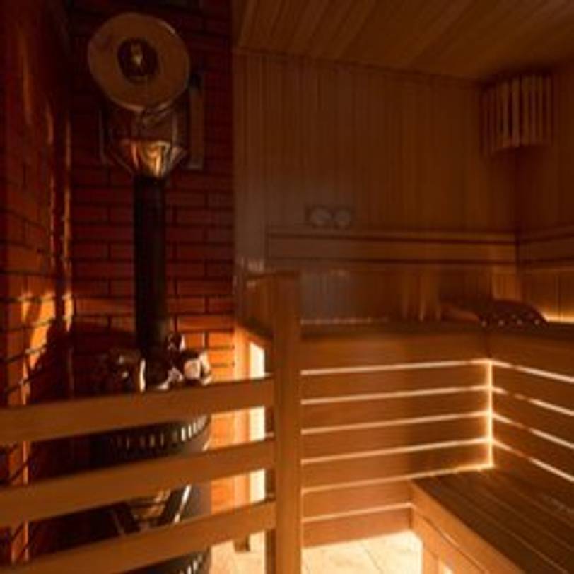 sauna mit sauna-ofen